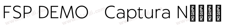 FSP DEMO   Captura N字体转换